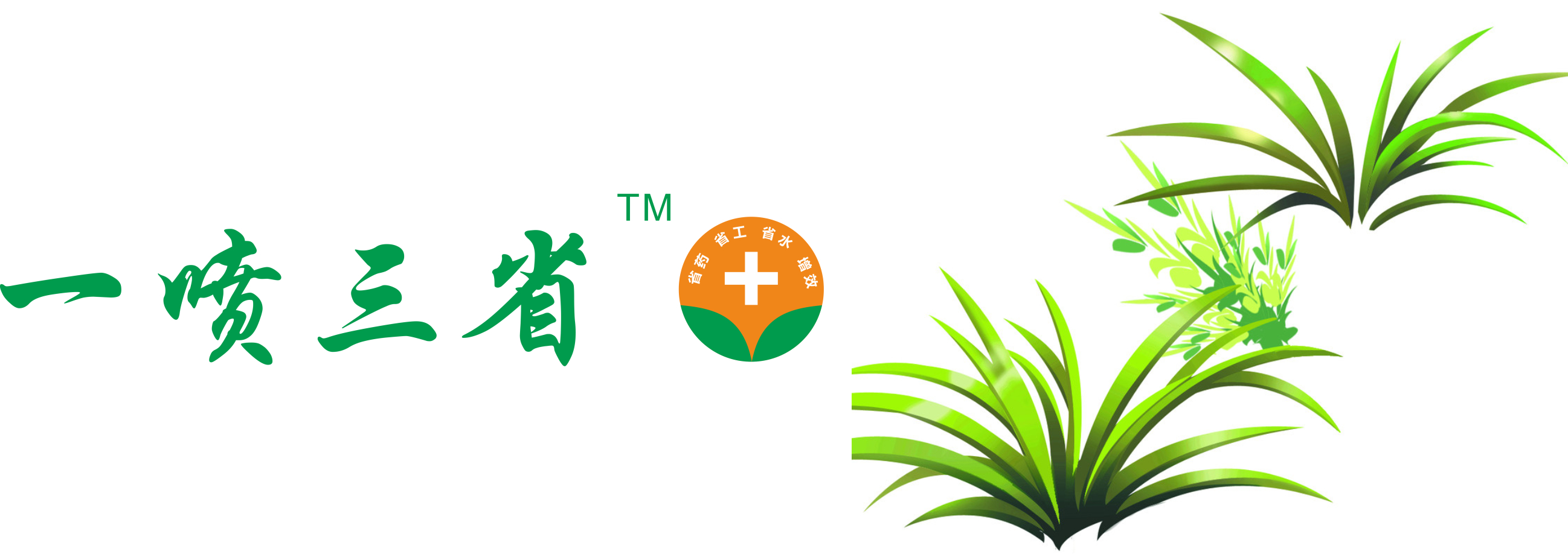 一噴三省在除草劑上的應(yīng)用