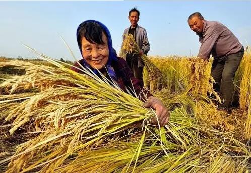 重磅！繼包產(chǎn)到戶之后，我國農(nóng)村又一次迎來重大改革